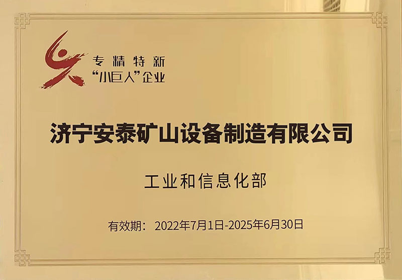 12专精特新“小巨人”企业