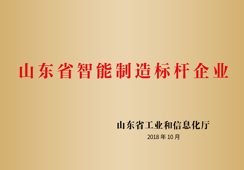 9山东省智能制造标杆企业