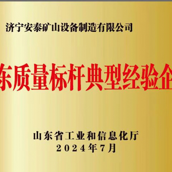 山东质量标杆典型经验企业