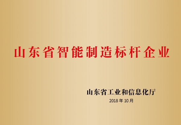 山东省智能制造标杆企业