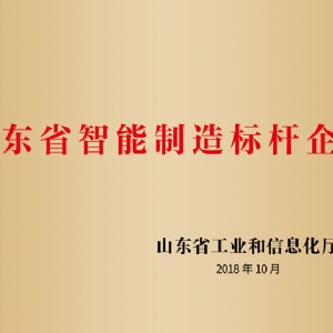 山东省智能制造标杆企业