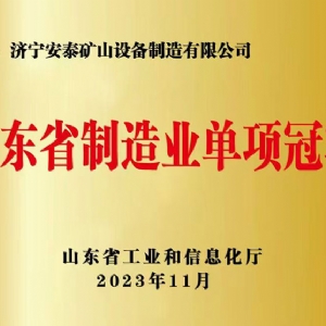 山东省制造业单项冠 军